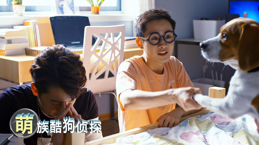 电视剧《萌族酷狗侦探》（2018中国大陆）--高清BT迅雷资源下载