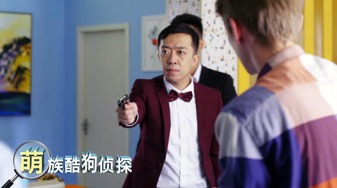 电视剧《萌族酷狗侦探》（2018中国大陆）--高清BT迅雷资源下载