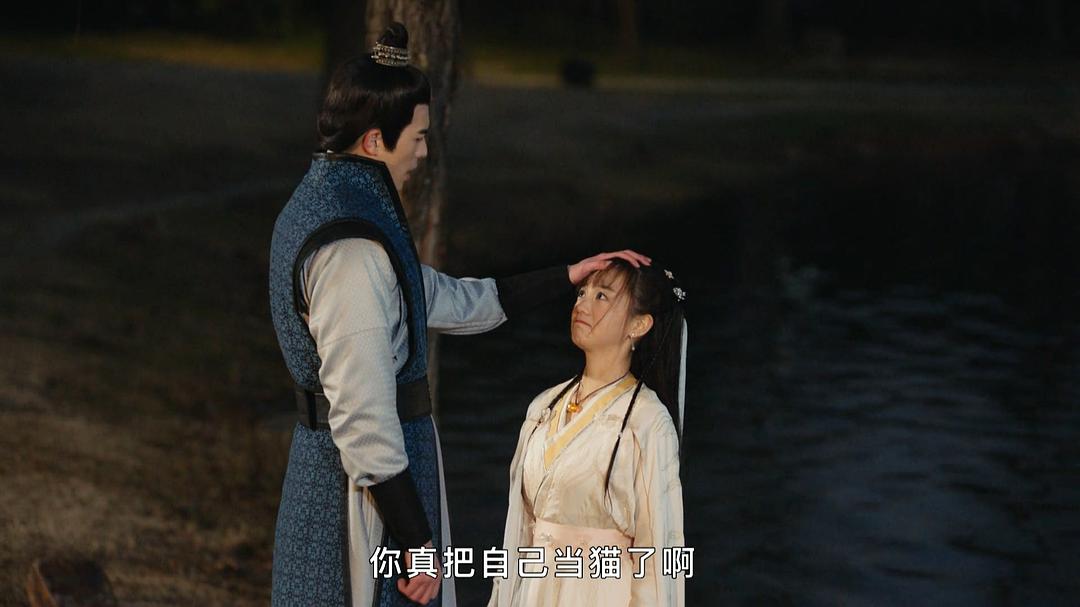 电视剧《我在大理寺当宠物》（2018中国大陆）--高清BT迅雷资源下载