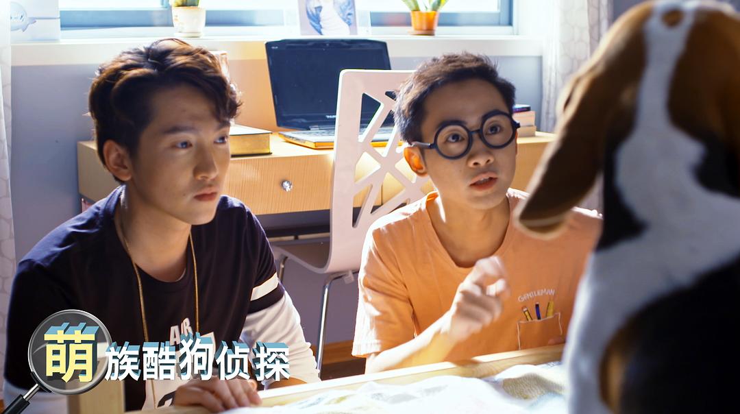 电视剧《萌族酷狗侦探》（2018中国大陆）--高清BT迅雷资源下载