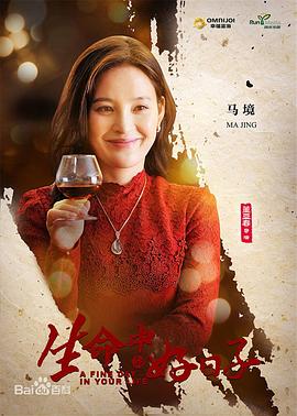 电视剧《生命中的好日子》（2016中国大陆）--高清BT迅雷资源下载