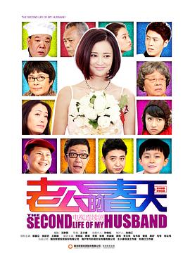 电视剧《老公的春天》（2013中国大陆）--高清BT迅雷资源下载