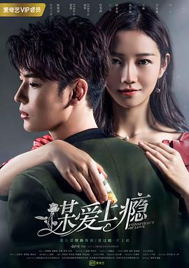 电视剧《谋爱上瘾》（2019中国大陆）--高清BT迅雷资源下载