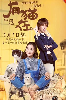 电视剧《有猫在》（2018中国大陆）--高清BT迅雷资源下载