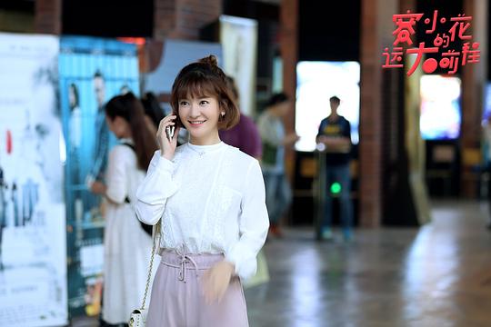 电视剧《赛小花的远大前程》（2017中国大陆）--高清BT迅雷资源下载