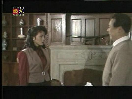 电视剧《密探》（1987中国大陆）--高清BT迅雷资源下载