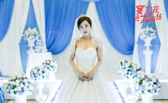 电视剧《赛小花的远大前程》（2017中国大陆）--高清BT迅雷资源下载
