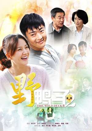 电视剧《野鸭子2》（2013中国大陆）--高清BT迅雷资源下载