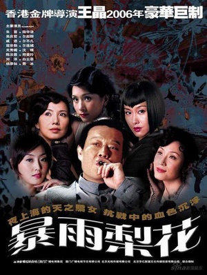 电视剧《暴雨梨花》（2006中国大陆）--高清BT迅雷资源下载