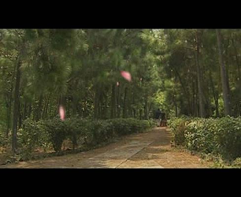 电视剧《胭脂雪》（2008中国大陆）--高清BT迅雷资源下载