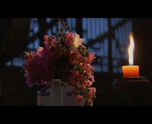 电视剧《胭脂雪》（2008中国大陆）--高清BT迅雷资源下载
