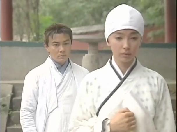 电视剧《少年张三丰》（2001中国大陆 / 中国台湾）--高清BT迅雷资源下载