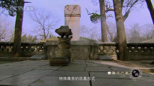 电视剧《世界遗产在中国》（2008中国大陆）--高清BT迅雷资源下载