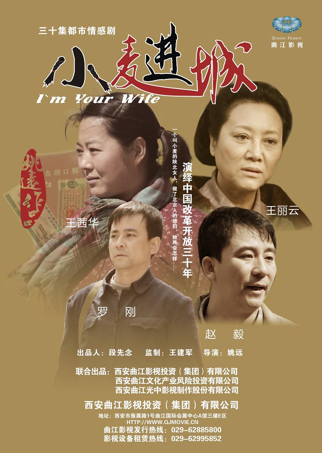 电视剧《小麦进城》（2012中国大陆）--高清BT迅雷资源下载