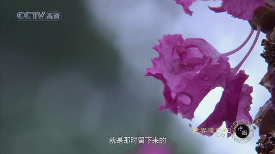 电视剧《世界遗产在中国》（2008中国大陆）--高清BT迅雷资源下载