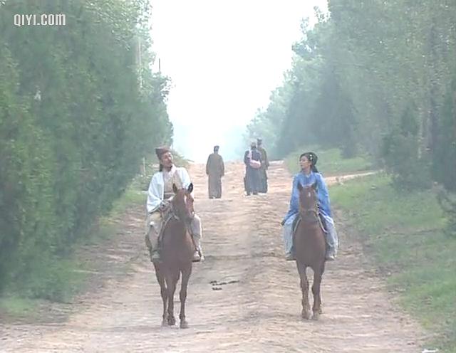 电视剧《大汉天子》（2002中国大陆）--高清BT迅雷资源下载
