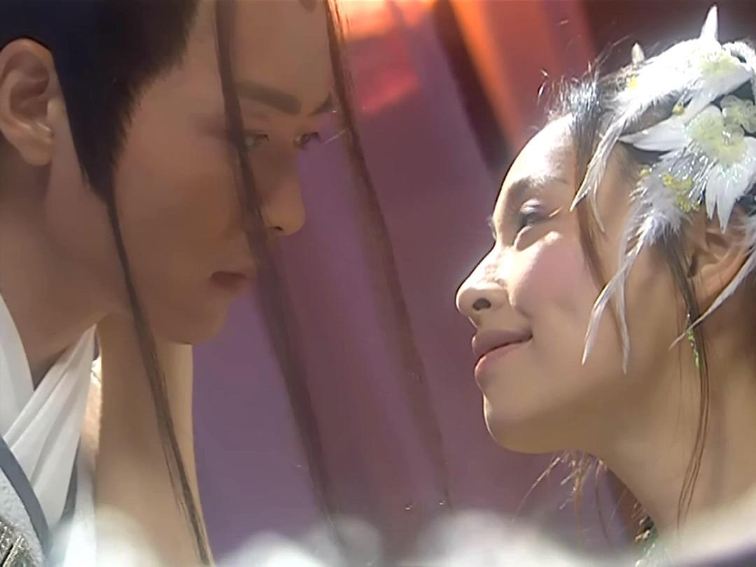 电视剧《花姑子》（2004中国大陆）--高清BT迅雷资源下载