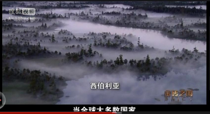 电视剧《金砖之国》（2012中国大陆）--高清BT迅雷资源下载
