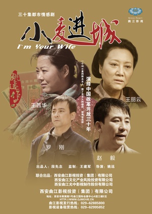 电视剧《小麦进城》（2012中国大陆）--高清BT迅雷资源下载