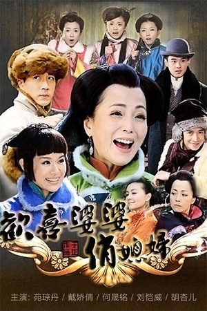 电视剧《欢喜婆婆俏媳妇》（2010中国大陆）--高清BT迅雷资源下载