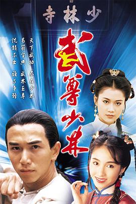 电视剧《武尊少林》（1993中国香港）--高清BT迅雷资源下载