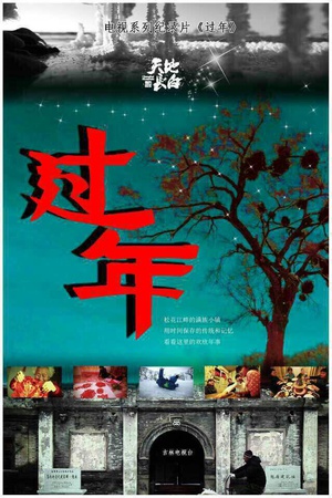 电视剧《过年》（2015中国大陆）--高清BT迅雷资源下载