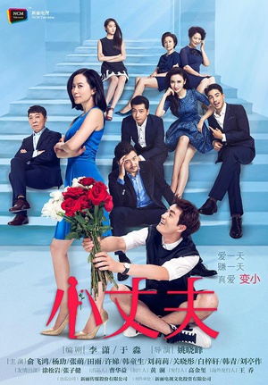 电视剧《小丈夫》（2016中国大陆）--高清BT迅雷资源下载