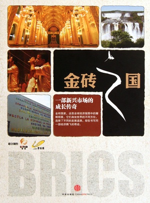 电视剧《金砖之国》（2012中国大陆）--高清BT迅雷资源下载