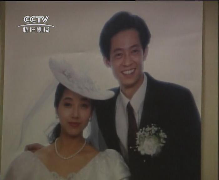 电视剧《过把瘾》（1994中国大陆）--高清BT迅雷资源下载