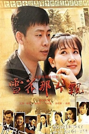 电视剧《雪花那个飘》（2010中国大陆）--高清BT迅雷资源下载