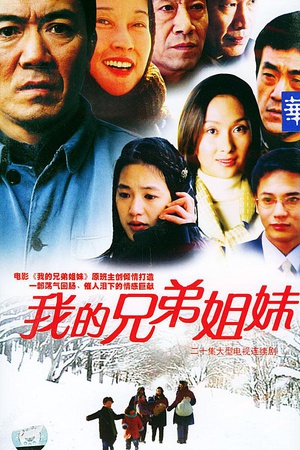 电视剧《我的兄弟姐妹》（2004中国大陆）--高清BT迅雷资源下载