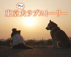 电视剧《东京犬爱情故事  東京犬ラブストーリー》（2023日本）--高清BT迅雷资源下载