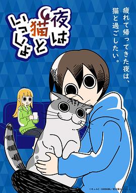 电视剧《关于养猫我一直是新手  夜は猫といっしょ》（2022日本）--高清BT迅雷资源下载