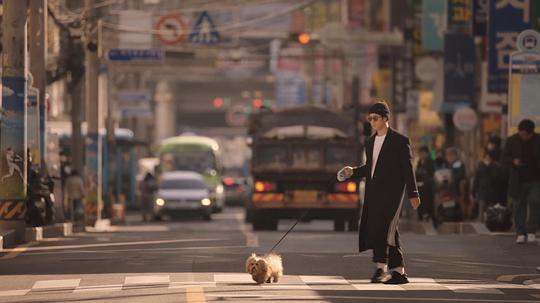 电视剧《不疯不狂不爱你  이 구역의 미친X》（2021韩国）--高清BT迅雷资源下载