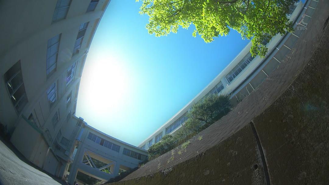 电视剧《中学圣日记  中学聖日記》（2018日本）--高清BT迅雷资源下载