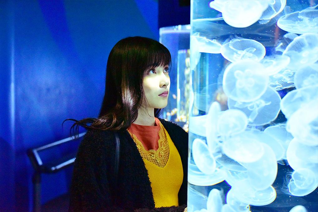 电视剧《花予野兽 第一季  花にけだもの》（2017日本）--高清BT迅雷资源下载