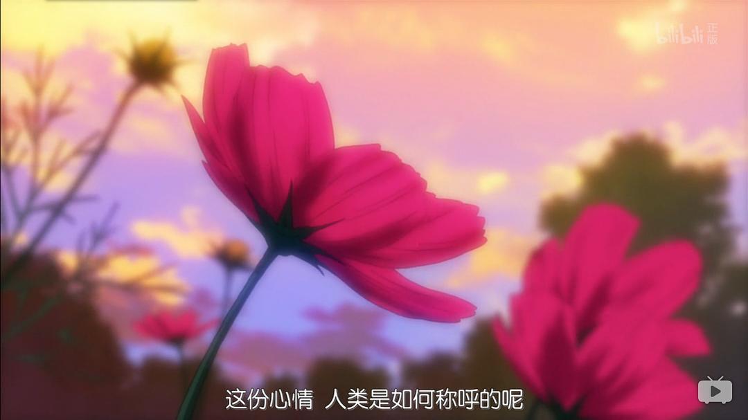 电视剧《夏目友人帐 第五季  夏目友人帳 伍》（2016日本）--高清BT迅雷资源下载