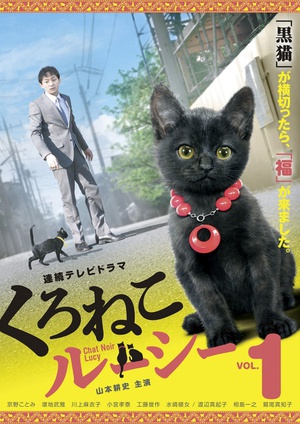 电视剧《黑猫露西  くろねこルーシー》（2012日本）--高清BT迅雷资源下载