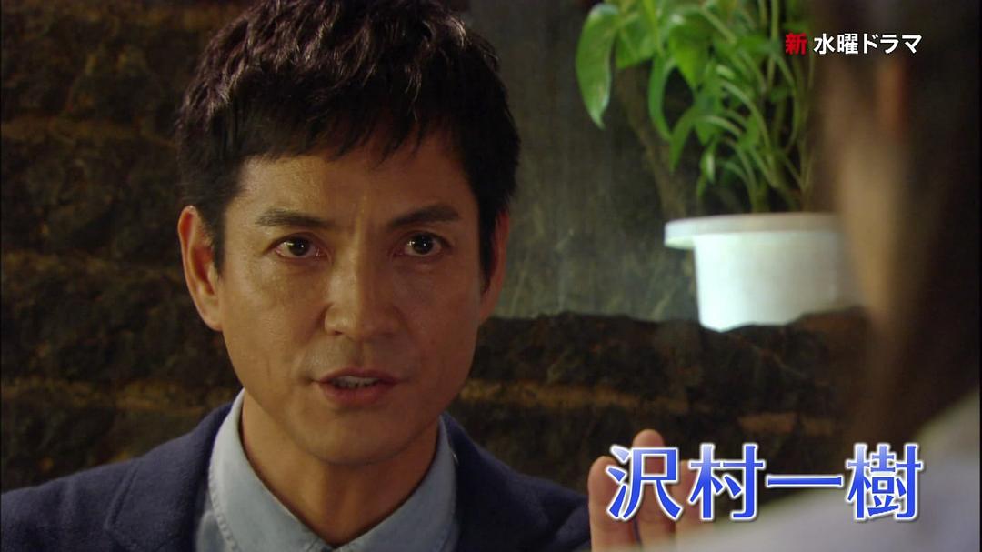 电视剧《伪装夫妇  偽装の夫婦》（2015日本）--高清BT迅雷资源下载