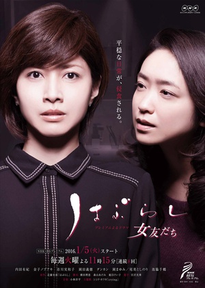 电视剧《牙刷与女友  はぶらし／女友だち》（2016日本）--高清BT迅雷资源下载