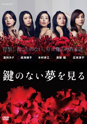 电视剧《没有钥匙的梦  鍵のない夢を見る》（2013日本）--高清BT迅雷资源下载