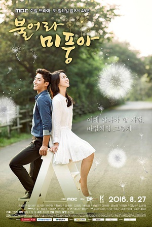 电视剧《吹吧，微风啊  불어라 미풍아》（2016韩国）--高清BT迅雷资源下载