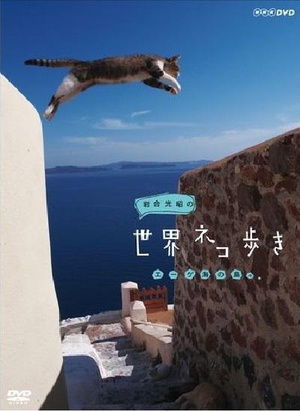 电视剧《岩合光昭的猫步走世界  岩合光昭の世界ネコ歩き》（2012日本）--高清BT迅雷资源下载
