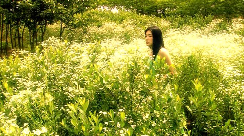 电视剧《昏迷  코마》（2006韩国）--高清BT迅雷资源下载