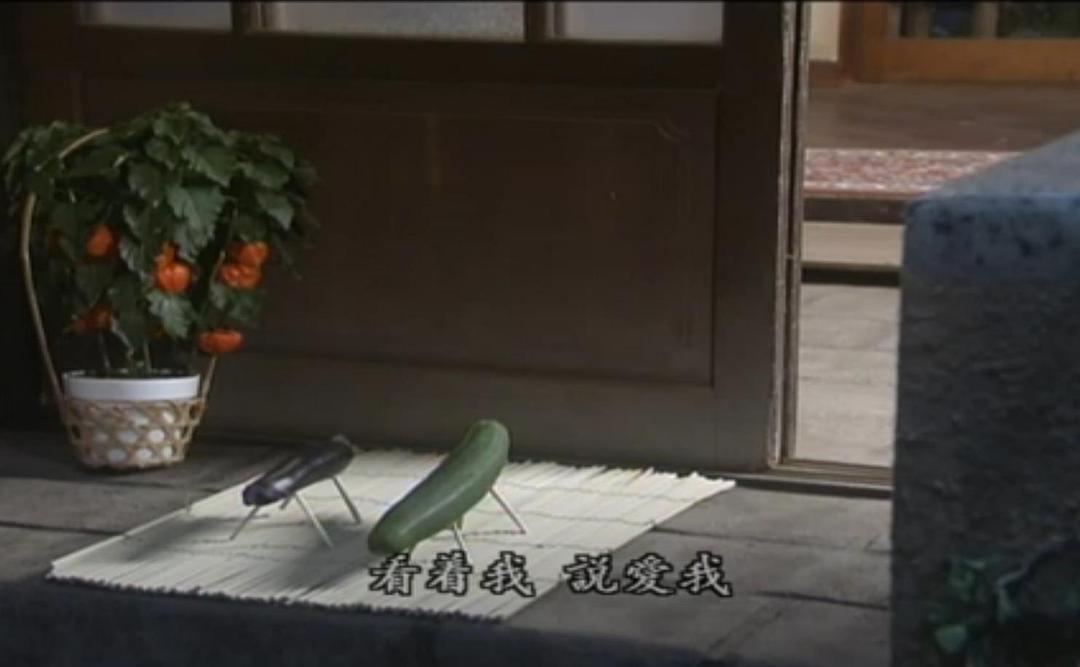电视剧《西瓜  すいか》（2003日本）--高清BT迅雷资源下载