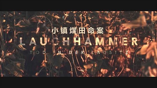 电视剧《小镇煤田命案 第一季  Lauchhammer - Tod in der Lausitz》（2022德国）--高清BT迅雷资源下载
