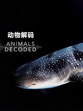 电视剧《动物解码  Animals Decoded》（2018加拿大 Canada）--高清BT迅雷资源下载