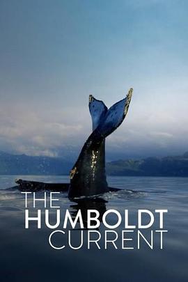 电视剧《The Humboldt Current Season 1  The Humboldt Current》（2021美国）--高清BT迅雷资源下载