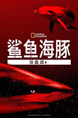 电视剧《鲨鱼海豚浴血战  Sharks vs. Dolphins: Blood Battle》（2020澳大利亚）--高清BT迅雷资源下载