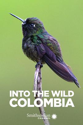 电视剧《走进野外：哥伦比亚  Into the Wild: Colombia》（2018英国）--高清BT迅雷资源下载